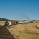 Illustration for article titled How To Catch A Freight Train Ride To Freedom